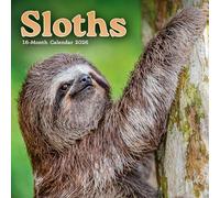 Carousel worldwide, Sloths 2026 Mini Wall Calendar