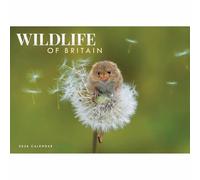 Carousel Worldwide, Wildlife of Britain 2026 A4 Wall Calendar