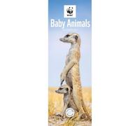 Carousel Worldwide WWF Baby Animals 2027 Slim Wall Calendar, 12-Month Calendar, Cute Wildlife Photography