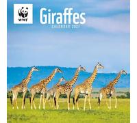 Carousel Worldwide WWF Giraffes 2027 Square Wall Calendar, 12-Month Calendar, Giraffe Wildlife Photography