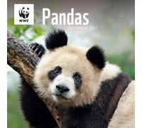 Carousel Worldwide WWF Pandas 2027 Square Wall Calendar, 12-Month Calendar, Panda Wildlife Photography