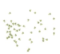 Carp Bait Stops, 50pcs Plastic Boilie Stoppers for Hair Rigs | Fits All Boilie Sizes, Anti-snap Construction, Holds Corn, Pellets and Meat Securely, for Floating Carp Fishing