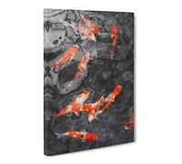 Carp & Koi Fish Canvas Print | Gallery Wrapped 30mm Frame Wall Art | 20x14 inches | Ready to Hang | Modern Animals Picture | Living Room Bedroom Lounge Office