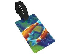 Carp Koi Fish Garden Pond Abstract Animal 2 Pcs Luggage Tags, Privacy Cover ID Label Loop and Address Card for Travel Bag Suitcase