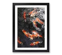 Carp & Koi Fish in Abstract Framed Print | A2 Black Framed Wall Art | Ready to Hang | Abstract Animal Picture | Living Room Bedroom Lounge Office