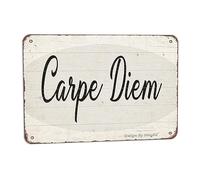 Carpe Diem 8X6 Inch Iron Vintage Look Decoration Crafts Sign for Home Kitchen Room Farmhouse Garden Yard Outdoor Funny Wall Decor