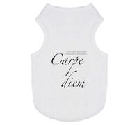 'Carpe Diem Seize the Day Latin Quote Poem Poetry' Pet Dog/Cat T-Shirt (PT00108235)