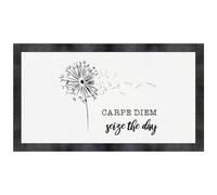 'Carpe Diem: Seize The Day' Pet Feeding Mat (PM00029044)