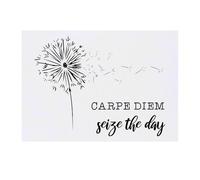 'Carpe Diem: Seize The Day' Temporary Tattoo - Water Resistant, Skin-Safe, Non-Toxic Transfer (TO00084025)