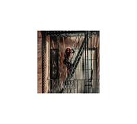 CARPENTER SABRINA - SINGULAR ACT II [CD]