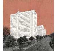 Carpet - About Rooms And Elephants [VINYL]