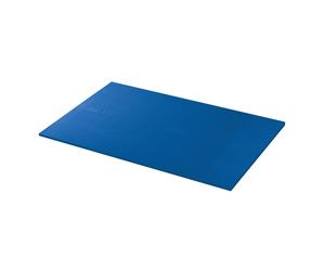 Carpet AIREX Hercules 200x100x2,5 cm