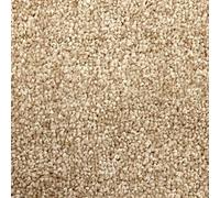Carpet Shop Online Atlantic Bathroom Carpet Fudge Gold Waffle Back 2.5M X 2M