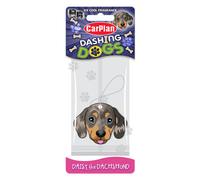 Carplan Daisy The Dachshund Ice Cool Hanging Air Freshener
