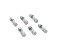 Carpoint CPT1623930 Radiofuse, 2 A, Set of 6