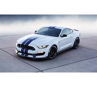 CARPRINTS Ford Mustang Shelby GT350 2015 Poster Print A3 420x297mm FO83A3