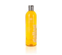 Carr & Day & Martin Gallop Chestnut Colour Enhancing Shampoo - Size: 500ml