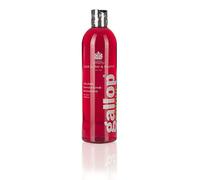 Carr & Day & Martin Gallop Colour Enhancing Shampoo - Bay 500ml
