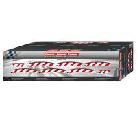 Carrera 20020595 Inner Curbs for Banked Curves 3/30° (6) Plus Terminal