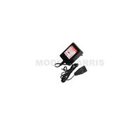Carrera 4007486615311 GO, Black