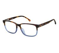 Carrera C FLEX 03/G Brown havana 58/17/150 MAN Eyewear Frame