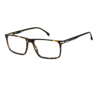 CARRERA CARRERA 347 LVL BROWN HAVANA GOLD 55/16/150 MAN Eyewear Frame