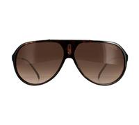 Aviator Dark Havana Brown Gradient Hot65 Carrera Brown One Size