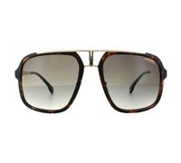 Carrera Square Havana Gold Brown Gradient Sunglasses Carrera Brown One Size