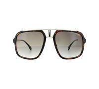 Carrera 1004/S Sunglasses Havana Gold / Brown Gradient