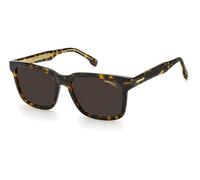 Carrera Carrera251s08 Sunglasses Brown Men,Women