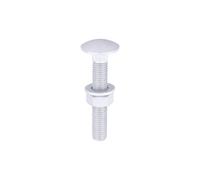 Carriage Bolts Hex Nuts & Form A Washers - Dome - Exterior - Silver Timco Silver One Size