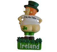 Carrolls Irish Gifts Traditional Irish Resin Magnet With Pog Mo Thoin Leprechaun