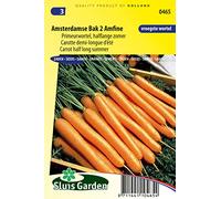 Carrot Amsterdamse Bak 2 Amfine (Halflong Summer) Vegetable Seeds per gram - The earliest type of carrot, a so-called 'primeur carrot - 2,5 g - Seeds per gram: +/-2750