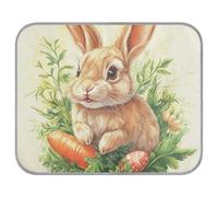 Carrot Bunny Rabbit Happy Easter Summer Pets Cooling Self Cooling mat for Dogs for Pets Indoor Cats Soft Manta Fria para Perros M