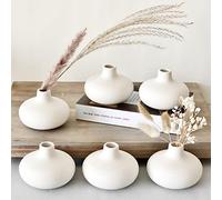 Carrot's Den - Set of 6 Nordic Minimalist White Ceramic Donut Bud Vases for Decor | Modern Boho Vases for Dry Flowers + House Plants | Wedding, Bookshelf, Home Decor, Centerpiece (White)