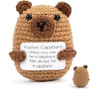 CARROUSEL Capybara Gifts Positve Crochet Capybara Animals Emotional Support Crochet Capybara Teddy Cheer Up Keepsake Gifts for Friends Women Students Boys Girls Age 3+