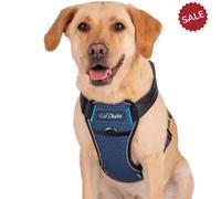 CarSafe Crash Tested Dog Harness - Small