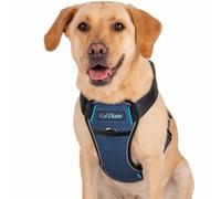 CarSafe Crash Tested Dog Safety Harness - from the makers of Halti. Crash Tested to 32Kg/70lbs, Safely Secure Dog in the Car, Comfortable and Padded Design, for Toy, Small, Medium and Large Dogs