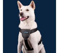 CarSafe Dog Travel Harness Black X-Small