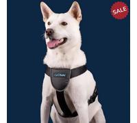 CarSafe Dog Travel Harness - Small