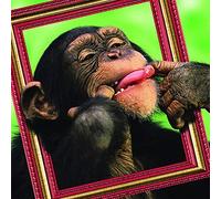 Carte Blanche 3D Holographic Card - Up Close - Cheeky Chimp in Photo Frame