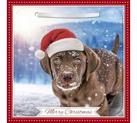 Carte Blanche Photographic 3D Lenticular Merry Christmas Single Greeting Card with Detachable Keepsake to Treasure - 6" x 6" (155 x 155mm) - Eco-Friendly (Chocolate Labrador in Santa Hat)