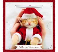 Carte Blanche Photographic 3D Lenticular Merry Christmas Single Greeting Card with Detachable Keepsake to Treasure - 6" x 6" (155 x 155mm) - Eco-Friendly (Cat in Santa Outfit)