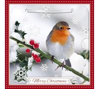 Carte Blanche Photographic 3D Lenticular Merry Christmas Single Greeting Card with Detachable Keepsake to Treasure - 6" x 6" (155 x 155mm) - Eco-Friendly (Robin on Branch)