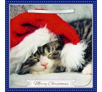 Carte Blanche Photographic 3D Lenticular Merry Christmas Single Greeting Card with Detachable Keepsake to Treasure - 6" x 6" (155 x 155mm) - Eco-Friendly (Cat in Santa Hat)