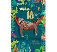Carte Blanche Special Grandson 18th Milestone Birthday Card - Age 18 - Sloth on Hammock Embossed with Foil Details - Eco-Friendly