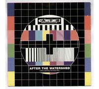 CARTER - CARTER - AFTER THE WATERSHED - 7 inch vinyl / 45