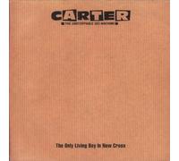 Carter The Unstoppable Sex Machine - The Only Living Boy In New Cross / Panic [7" VINYL]