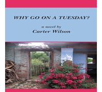 Carter Wilson WHY GO ON A TUESDAY? Paperback Book Carter Wilson Multicolor