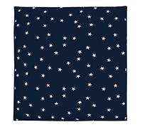 Carter's Navy w/White Stars Crib Sheet
